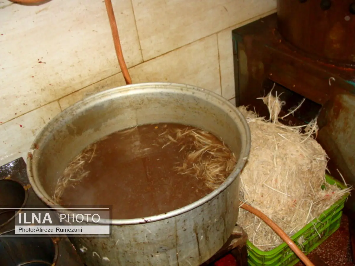 عرضهی غیربهداشتی مرغ در شوشتر