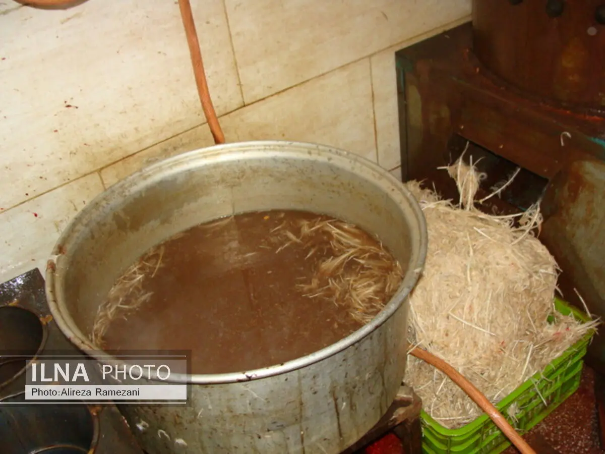 عرضه‌ی غیربهداشتی مرغ در شوشتر