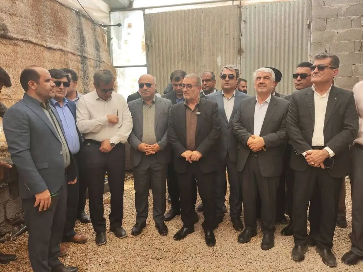 استاندار کهگیلویه و بویراحمد: حمایت از گلخانه‌ها تا مرحله تولید ادامه دارد