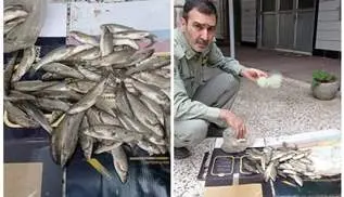 کشف ادوات صید غیرمجاز در شهرستان ماسال