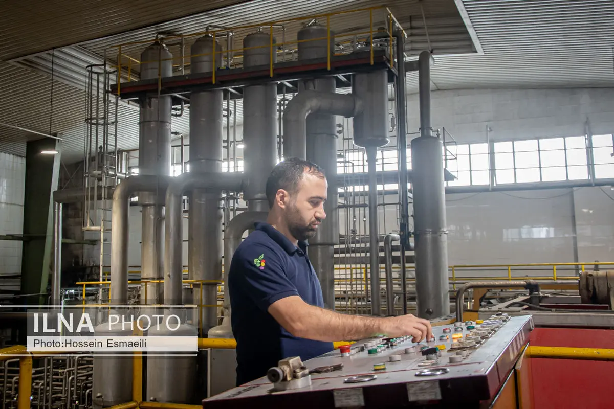 از فقدان امنیت شغلی تا نبود تشکل‌های مستقل/ چرا اعتراضات کارگران ایران «جزیره‌ای» است؟