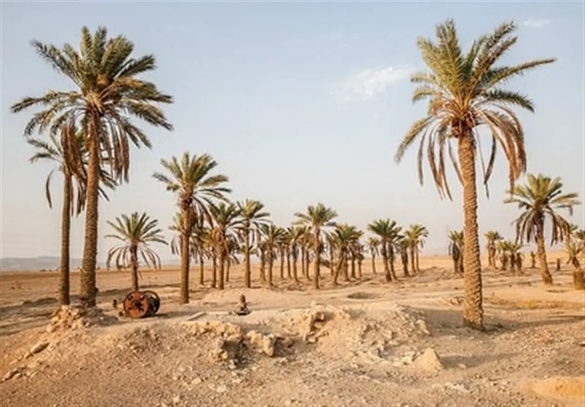 وضعیتِ روستاهای آبادان بحرانی است/روستاییان نگران احشام و زمین‌های خود هستند/زمین‌های کشاورزی به زودی شوره‌زار می‌شود