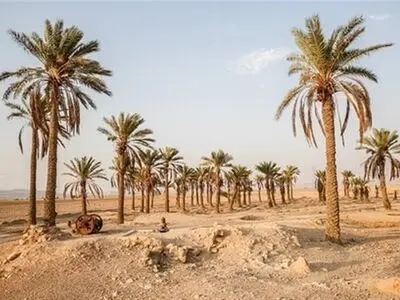 وضعیتِ روستاهای آبادان بحرانی است/روستاییان نگران احشام و زمین‌های خود هستند/زمین‌های کشاورزی به زودی شوره‌زار می‌شود