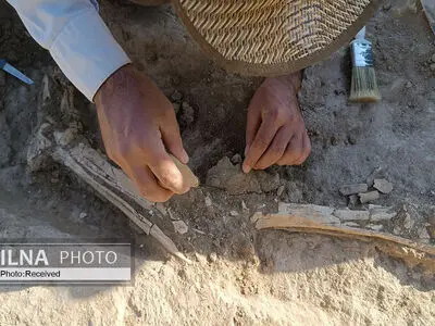 تخریب ۸۰ تا ۱۰۰ درصدی برخی از قبور تاریخی توسط بیل مکانیکی/ احتمال کشف قبور عصر آهن در اولتان+عکس و فیلم