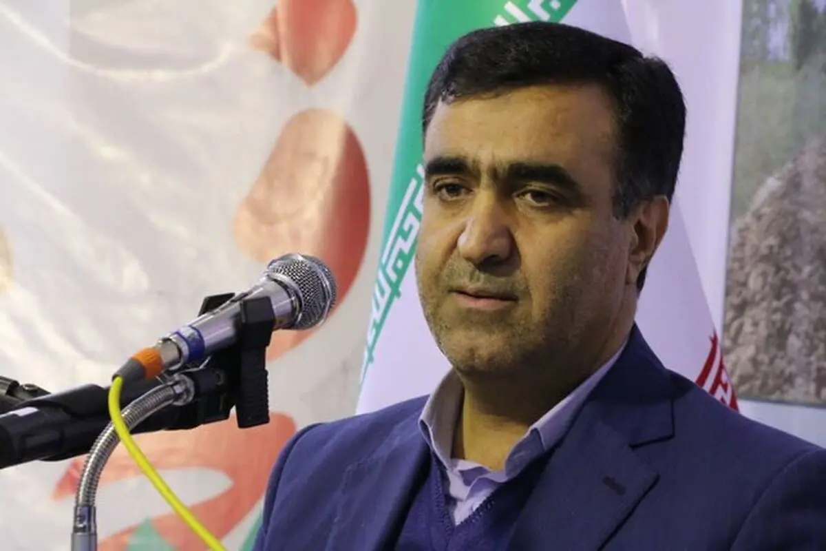 صنایع‌ دستی و محیط‌ زیست غیر قابل تفکیک هستند