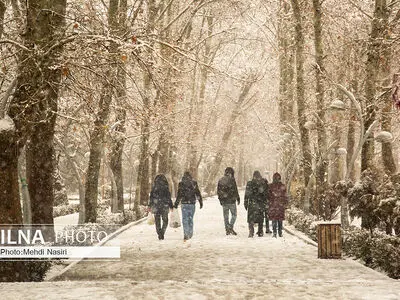 بارش برف زمستانی در تهران /2