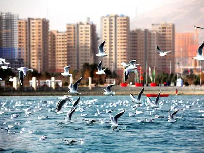 خرید یک میلیون و ۸۰۰ هزار متر مربع آب از رودخانه کن برای تامین آب چیتگر