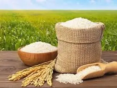 سیستمی کردن واردات برنج از اقدامات موثر دولت سیزدهم بود