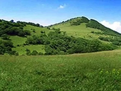 کنترل پروانه‌های مرتعداری آذربایجان شرقی با مشارکت بسیج سازندگی