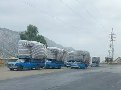 تاراج اندوخته‌های دامی خوزستان/ از پیش فروش علوفه تولیدی تا ایجاد مافیای کاه + تصاویر