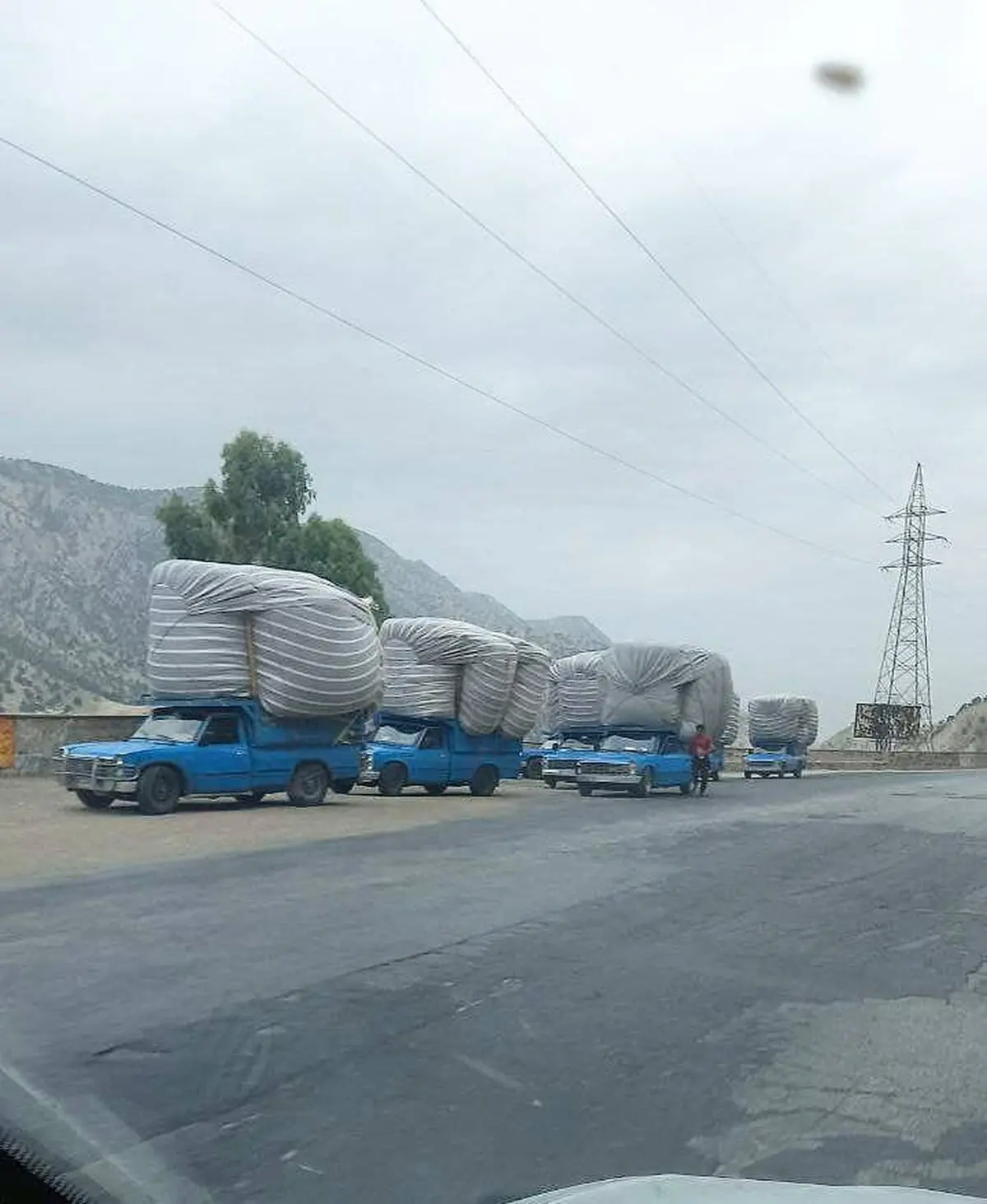 تاراج اندوخته‌های دامی خوزستان/ از پیش فروش علوفه تولیدی تا ایجاد مافیای کاه + تصاویر