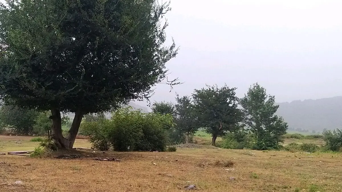 ورود جریانات جنوبی و افزایش تدریجی دمای هوا در گیلان 