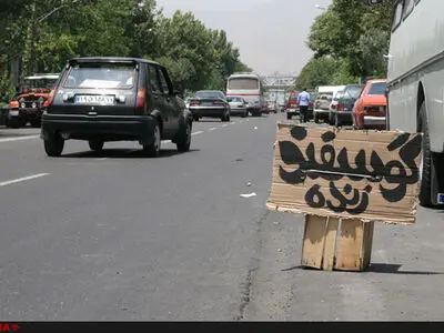 شهرداری جلوی فروش دام در کنار خیابان را بگیرد