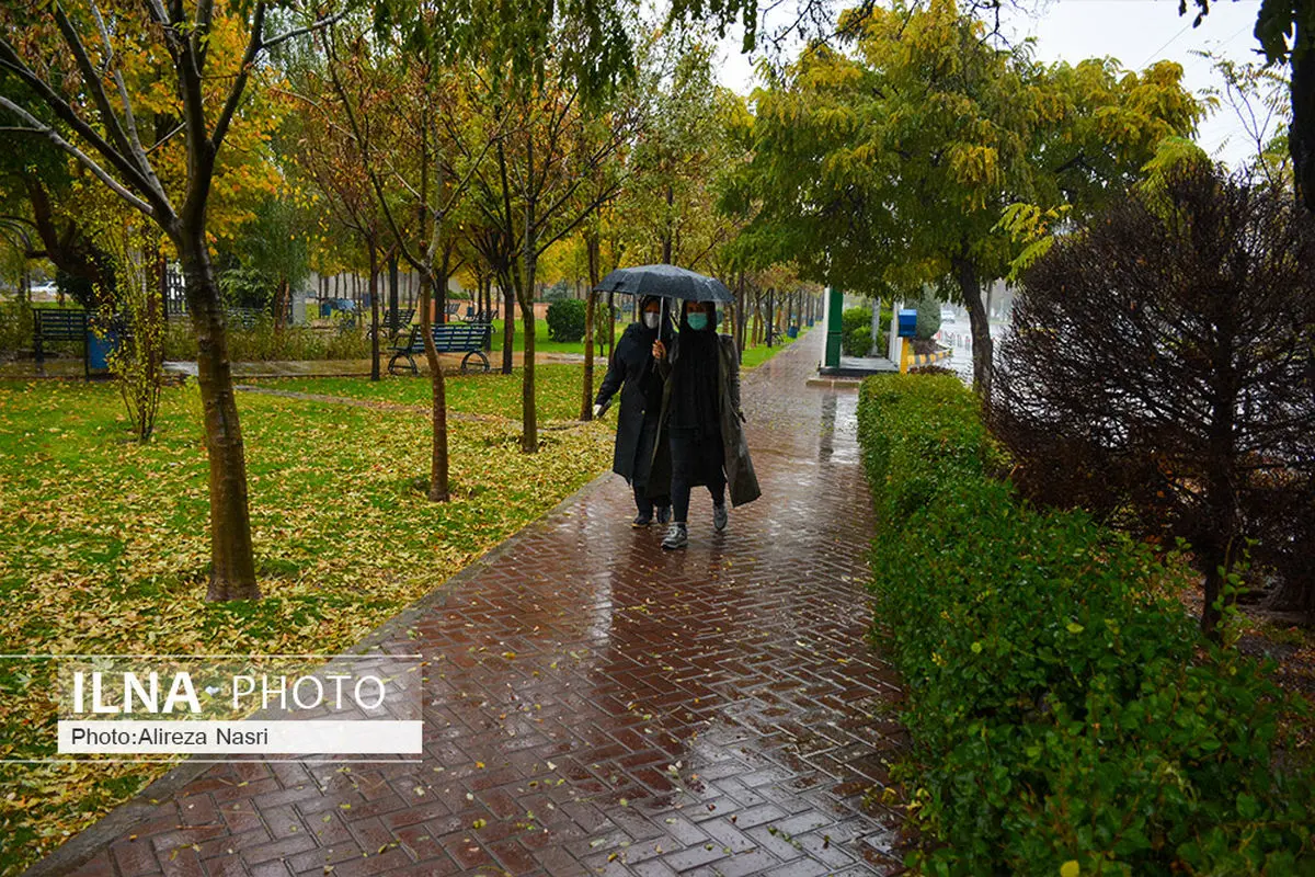 بارش  باران در برخی از مناطق کشور/خلیج فارس و دریای عمان مواج می شوند