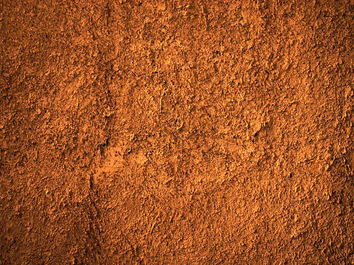 یک میلیون و ۲۰۰ هزار هکتار اراضی کشور سدیمی و شور است
