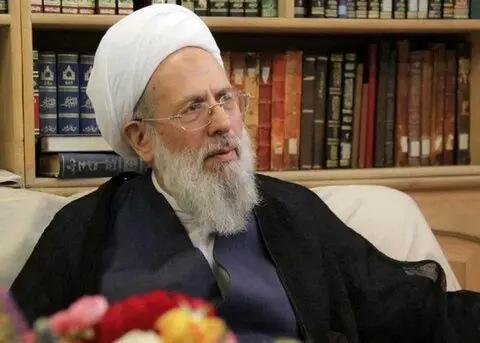 نخستین سالگرد رحلت آیتالله محمدی ری شهری فردا برگزار میشود