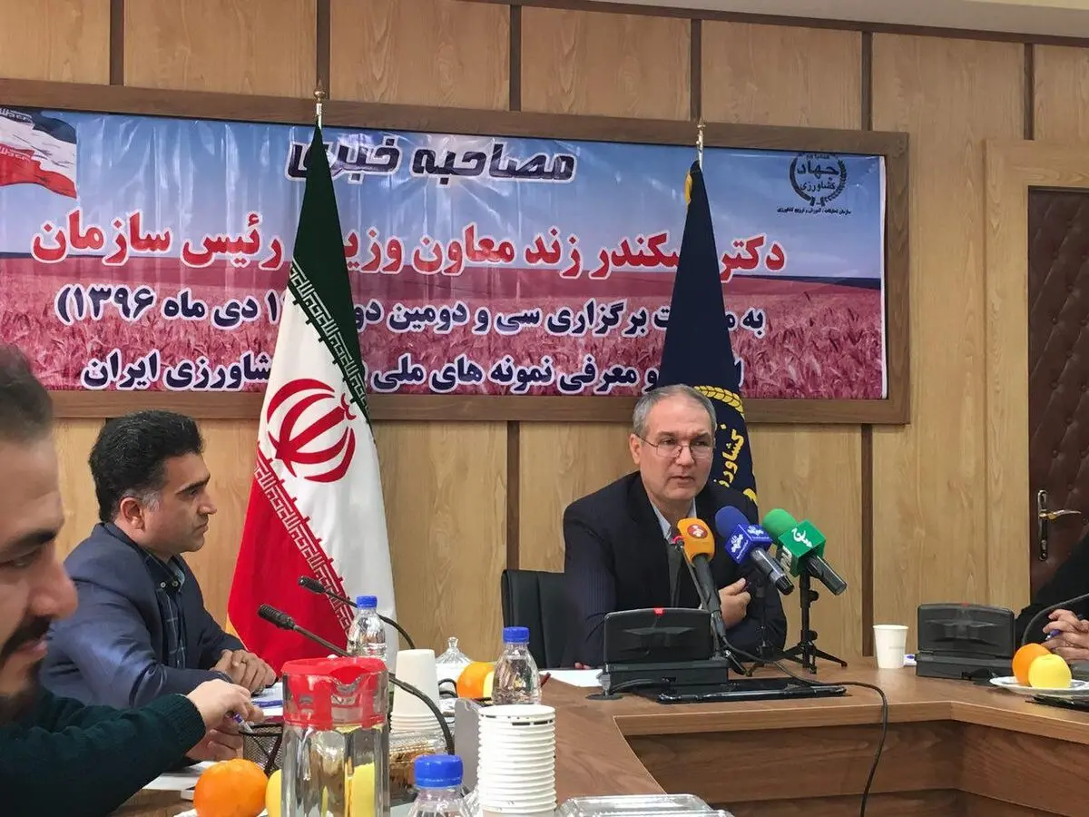 تولید سالانه 3.5 میلیون تن گندم آبی در کشور / تولید محصول ارگانیک شاخصی برای انتخاب کشاورز نمونه