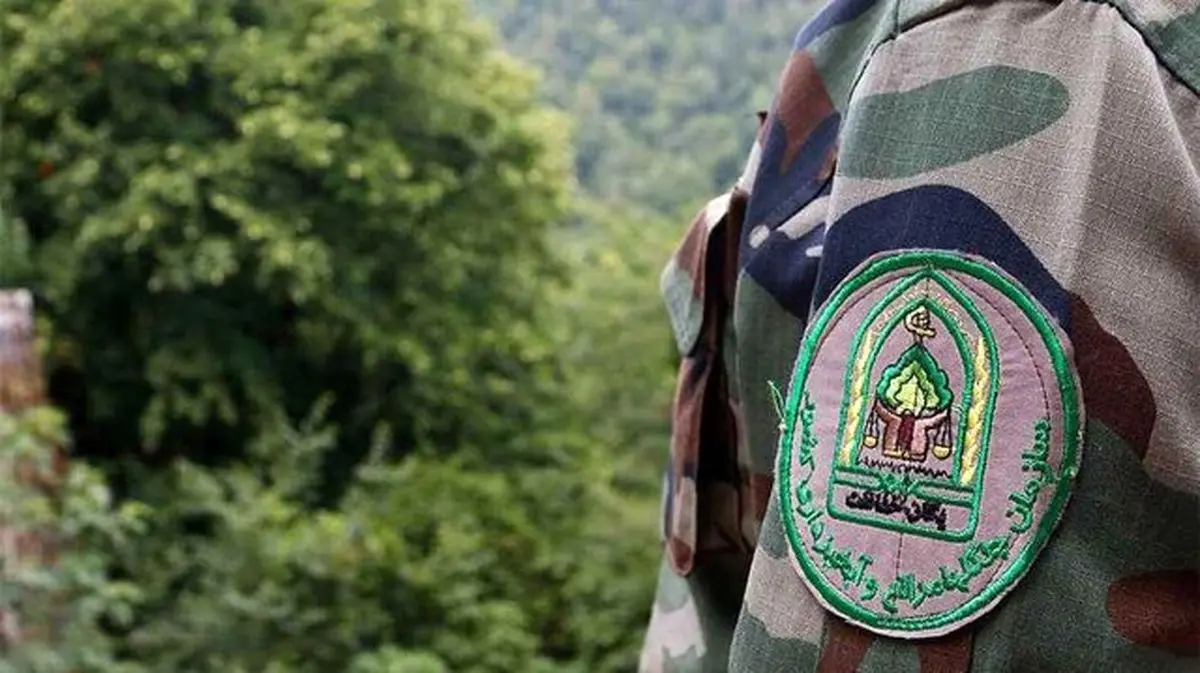 حمله سودجویان به دو تن از ماموران منابع طبیعی آستارا/یک نفر دستگیر شد