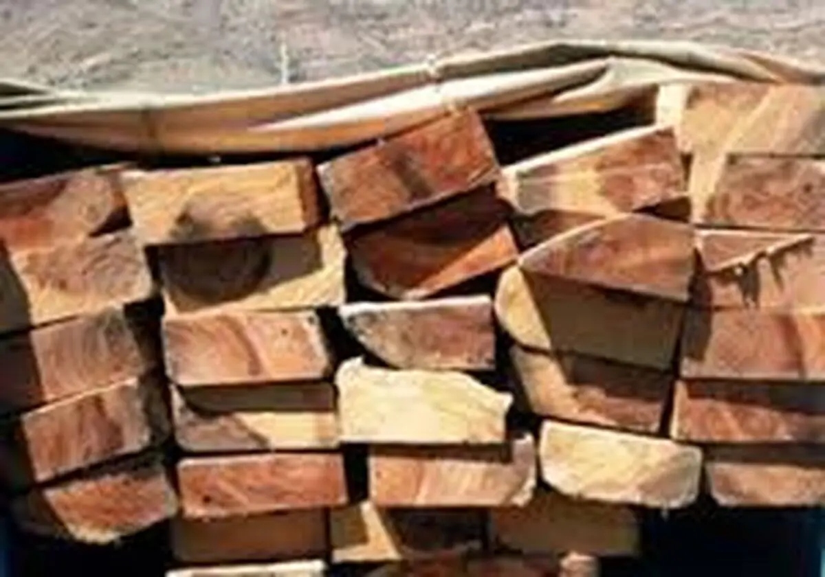 کشف یک و نیم تن چوب جنگلی قاچاق درتنکابن 