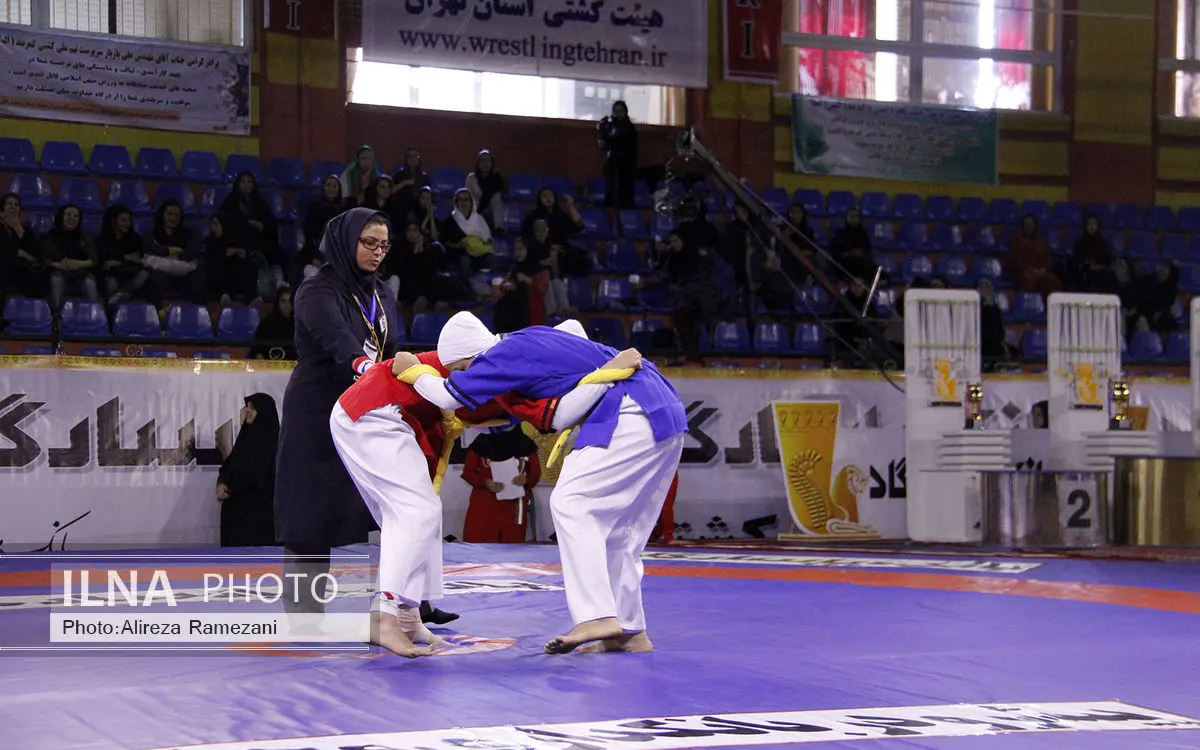 پیشنهاد "کشتی زنان با لباس مناسب" به تایید رسید