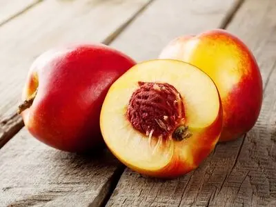 این میوه کرم معده را از بین می برد