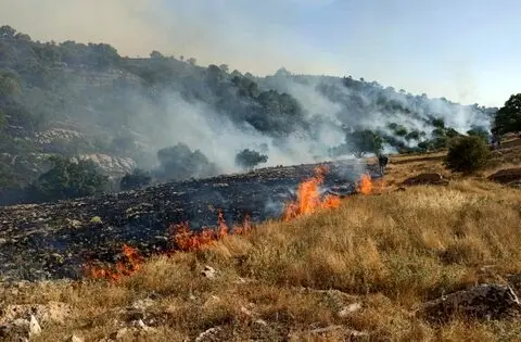 اطفاء کامل آتش سوزی پارک ملی گلستان