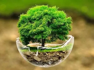 جانمایی 500 هکتار برای توسعه فضای سبز ویژه صنایع استان مرکزی با هدف کاهش آلوگی هوا / 12.5 تن در هکتار فرسایش خاک در استان مرکزی وجود دارد