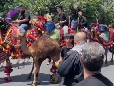 کاروان بنی‌اسد و دسته‌ای که سال‌هاست حاجت می‌دهد + فیلم
