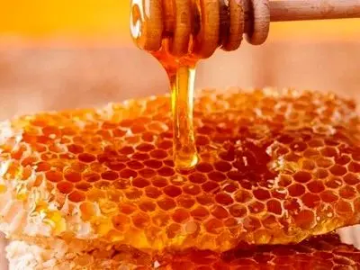پیش‌بینی سال پربازده برای تولید عسل استان مرکزی / تولید سالانه 1100 تا 1200 کیلوگرم عسل در استان