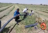 شناسایی ۴۰ چاه آب کشاورزی برای حل  کمبود آب درگرگان/ رشد اقتصادی گرگان با توسعه گردشگری 