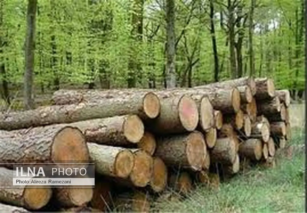کشف 2 تن چوب آلات جنگلی قاچاق در شهرستان آمل 