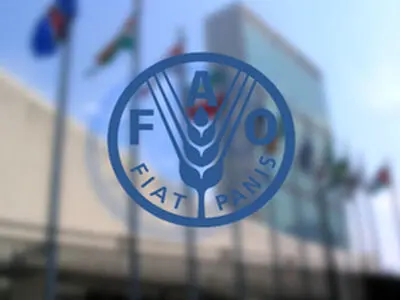 FAO, Iran launch project to boost climate-resilient farming