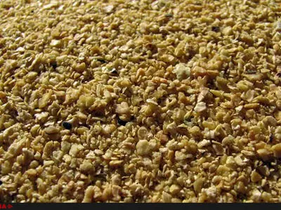 افزایش 20 درصدی نرخ کنجاله سویا/ قیمت تمام شده مرغ افزایش پیدا می‌کند
