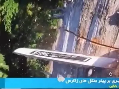 قاچاقچیان چوب به جان جنگل‌های زاگرس افتادند + فیلم