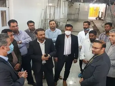 ضرب الاجل دادستان مرکز استان هرمزگان برای راه اندازی سالن مکانیزه کشتارگاه دام شهرداری بندرعباس