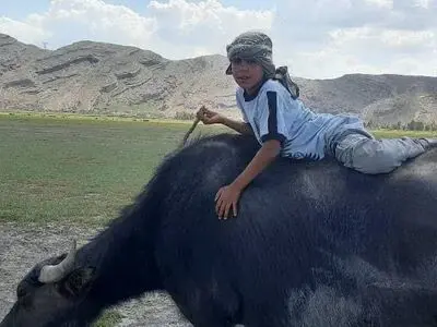 احیای‌حیات تالاب بُندان ایذه، راهی میانبر در تقویت گردشگری طبیعی