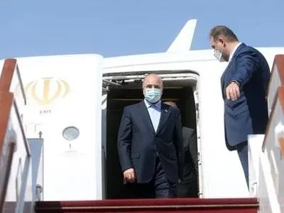 رئیس مجلس در راس هیات پارلمانی وارد سوریه شد