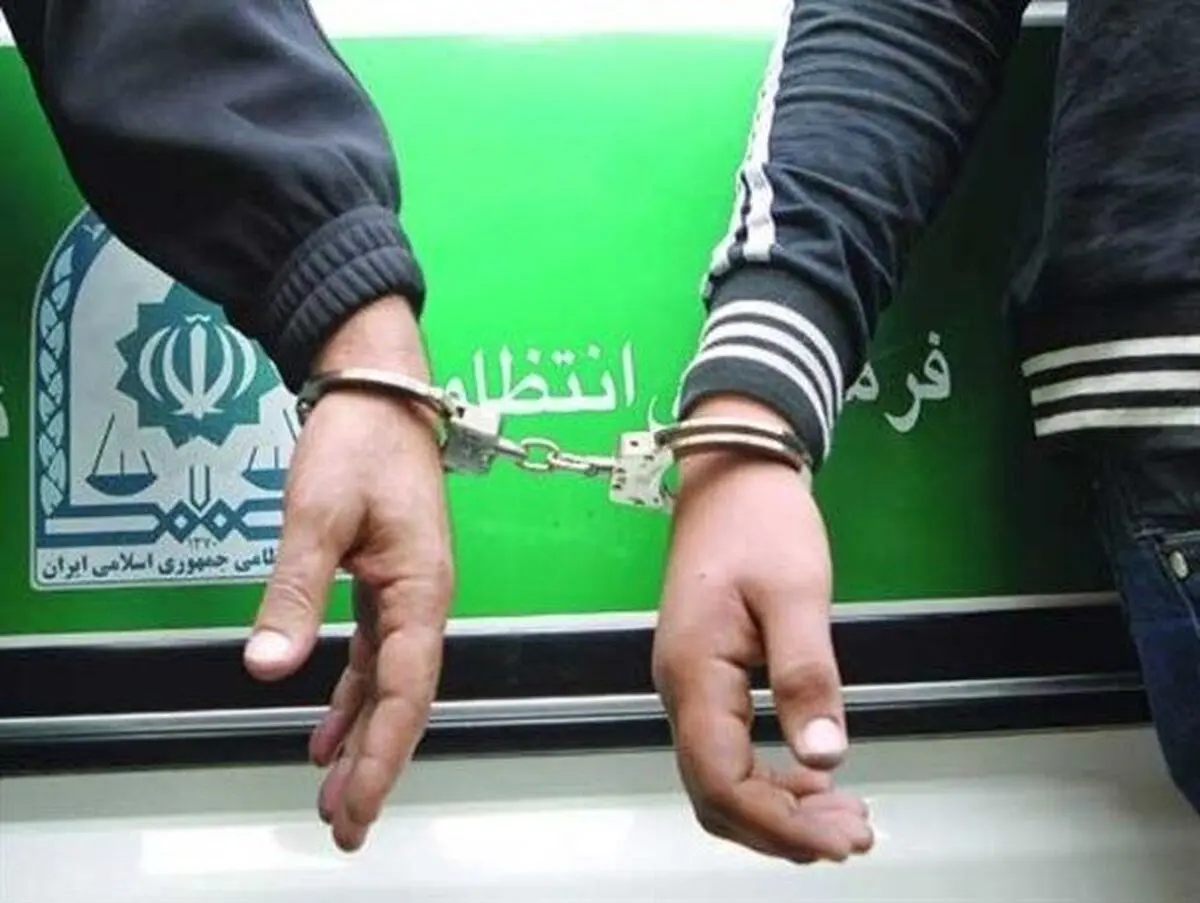 ۷۱ متهم به سرقت و خرده فروشی موادمخدر دستگیر شدند