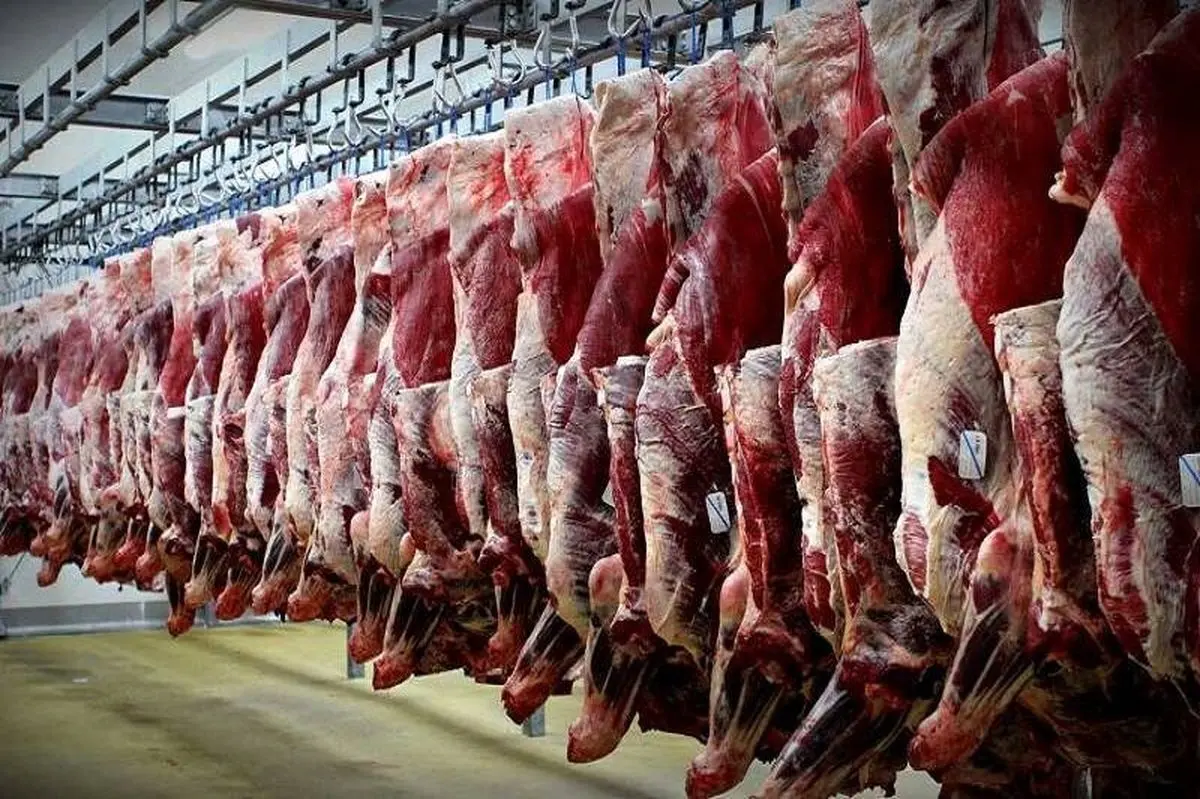 گوشت ۴۵۰ هزار تومانی در راه است؟ 
