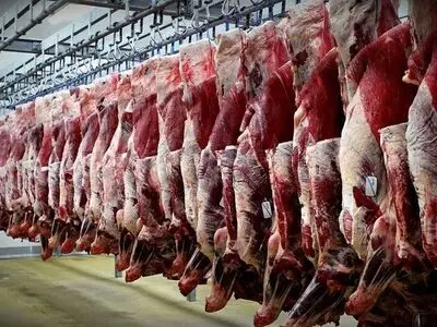 گوشت ۴۵۰ هزار تومانی در راه است؟ 