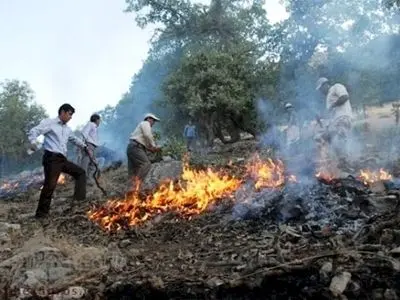 امکانات دولتی به‌تنهایی برای احیا و اطفای حریق پاسخگو نیست و انرژی مردمی همواره موفق بوده است