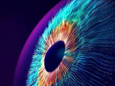 چرا بازسازی بینایی در انسان دشوار است و دانشمندان چه یافته اند؟ 