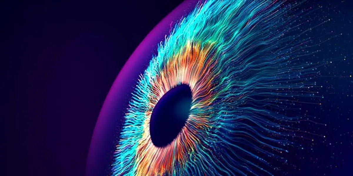 چرا بازسازی بینایی در انسان دشوار است و دانشمندان چه یافته اند؟ 