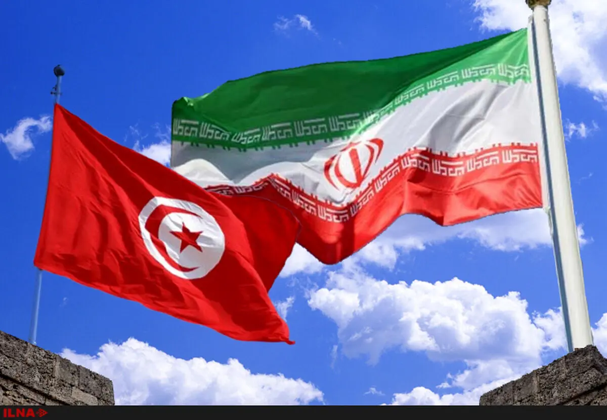 سند همکاری گردشگری ایران و تونس نیاز به بازبینی دارد/ تشکیل کمیته فنی گردشگری ایران و تونس در دستور کار 