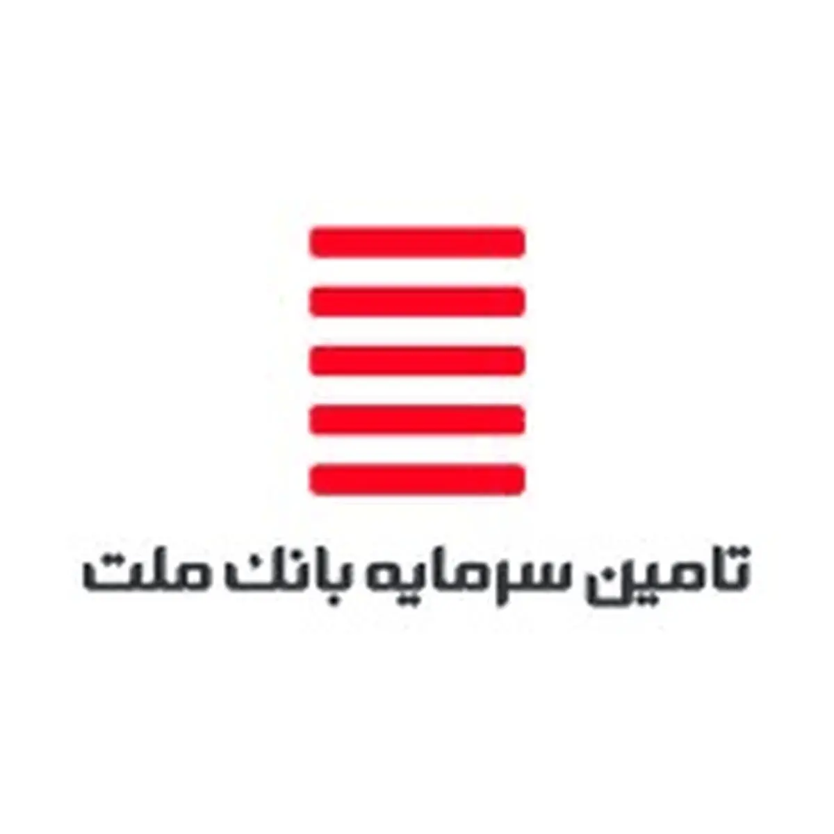 نگاهی به فعالیت ماهانه شرکت تامین سرمایه بانک ملت