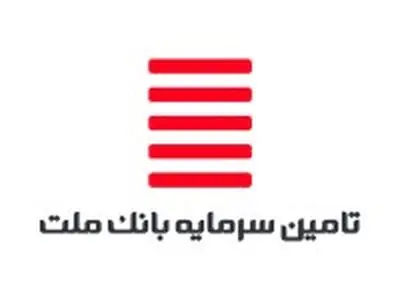 نگاهی به فعالیت ماهانه شرکت تامین سرمایه بانک ملت