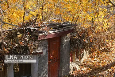 پاییز در روستای احمدآباد دماوند