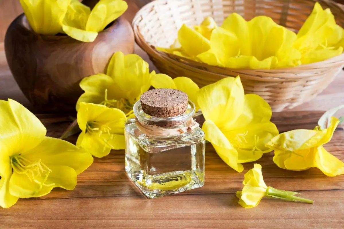 روغن گل مغربی چه فایدهای دارد؟