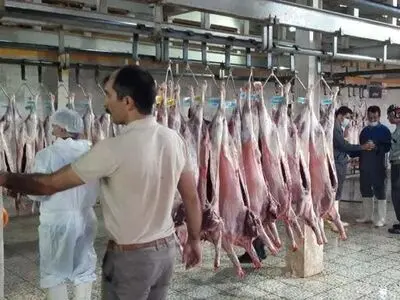 اشتغال‌زایی برای 180 نفر با راه‌اندازی مرحله نخست کشتارگاه صنعتی روستای داودآباد اراک