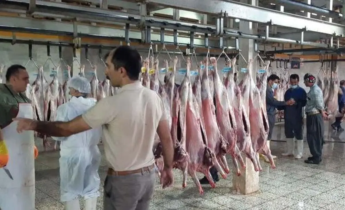 اشتغال‌زایی برای 180 نفر با راه‌اندازی مرحله نخست کشتارگاه صنعتی روستای داودآباد اراک